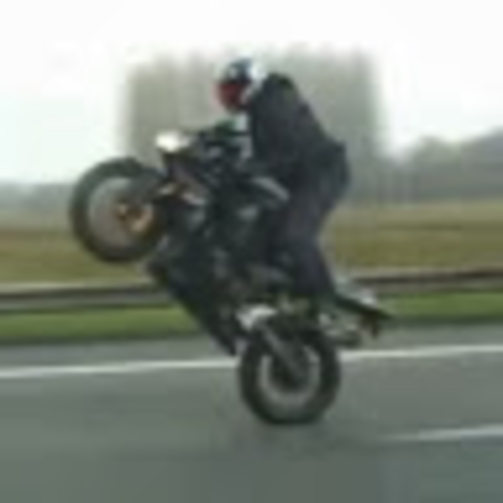 Meet your Posher, Adam